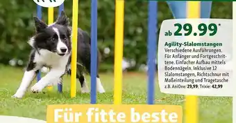 Fressnapf Agility-slalomstangen Angebot