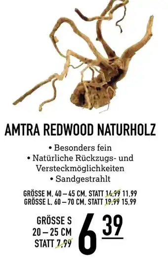 Kölle Zoo Amtra Redwood Naturholz Angebot