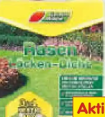 Netto Marken-Discount Rasen Lücken-Dicht Angebot