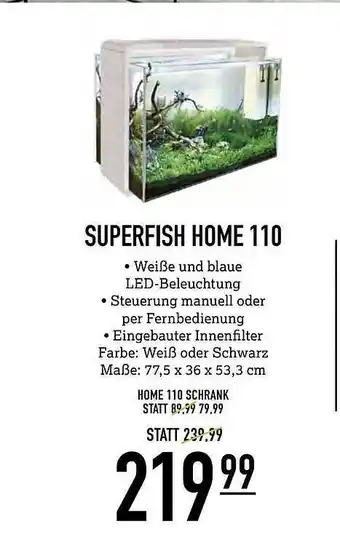 Kölle Zoo Superfish Home 110 Angebot