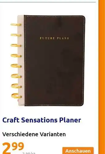 Action Craft Sensations Planer Angebot