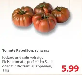 basic Tomate Rebellion, schwarz 1kg Angebot