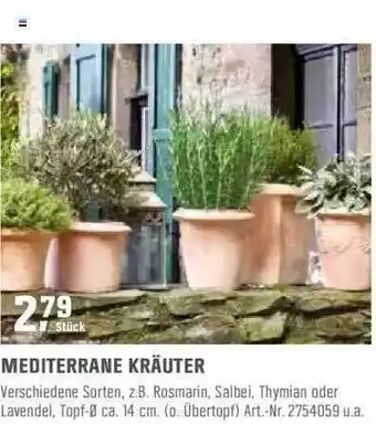 OBI Mediterrane Kräuter Angebot