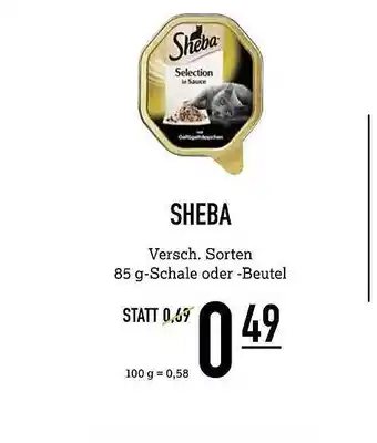 Kölle Zoo Sheba Angebot