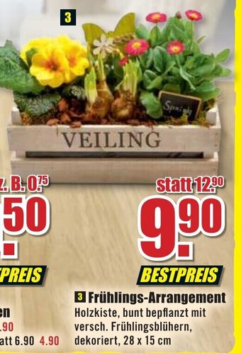 B1 Discount Baumarkt Frühlings Arrangement Angebot