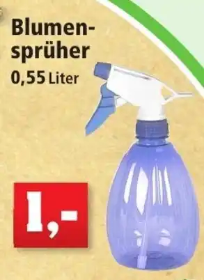 Thomas Philipps Blumensprüher 0,55L Angebot