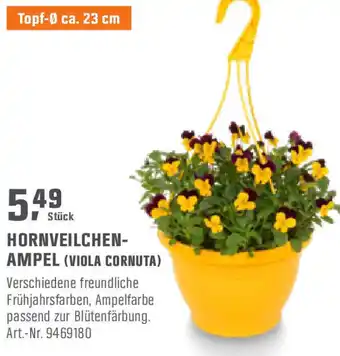 OBI Hornveilchen Ampel (Viola Cornuta) Angebot