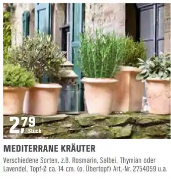 OBI Mediterrane Kräuter Angebot