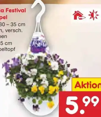 Netto Marken-Discount Viola Festival Ampel Angebot