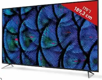 Aldi Nord Ultra HD Smart-TV Life X17575 Angebot