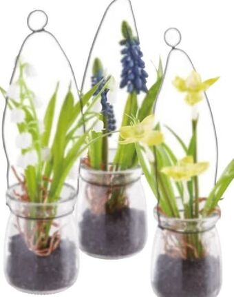 XXXLutz Kunstblumen Angebot