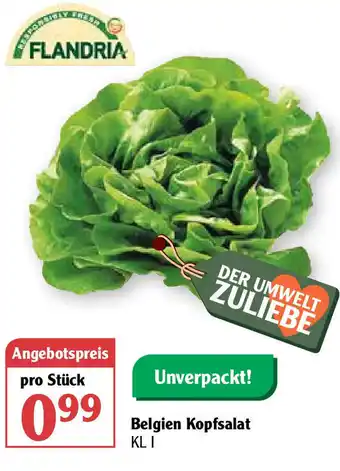 Globus Belgien Kopfsalat Angebot