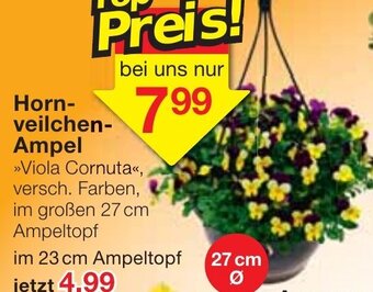 Jawoll Hornveilchen Ampel Angebot