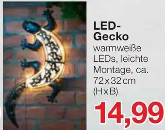 Jawoll LED Gecko Angebot