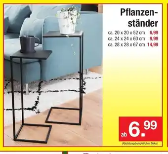 Zimmermann Pflanzenständer Angebot