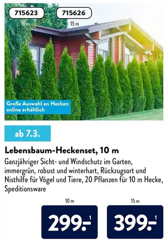 Aldi Nord Lebensbaum Heckenset, 10m Angebot