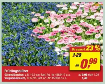 toom Baumarkt Fruhlingsbluher Angebot