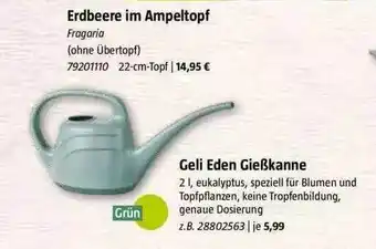 Bauhaus Erdbeere Im Ampeltopf Oder Geli Eden Gießkanne Angebot