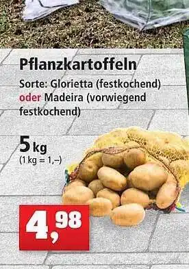 Thomas Philipps Pflanzkartoffeln Angebot