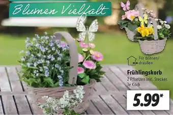 Lidl Frühlingskorb Angebot