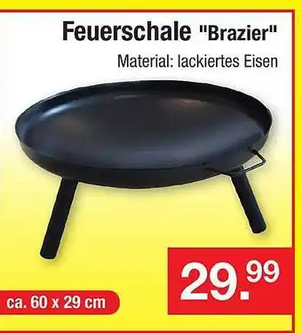 Zimmermann Feuerschale ”brazier” Angebot