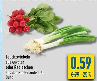 diska Lauchzwiebeln Oder Radieschen Angebot