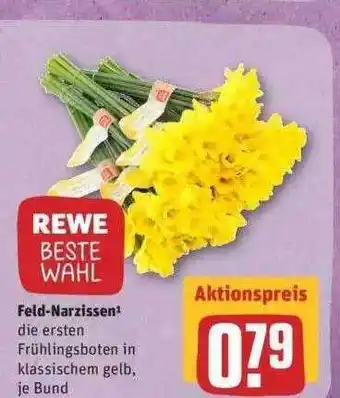 REWE Feld-narzissen Rewe Beste Wahl Angebot