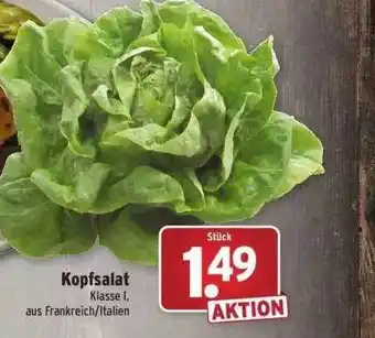 Wasgau Kopfsalat Angebot