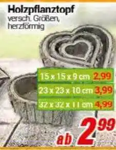 CENTERSHOP Holzpflanztopf Angebot