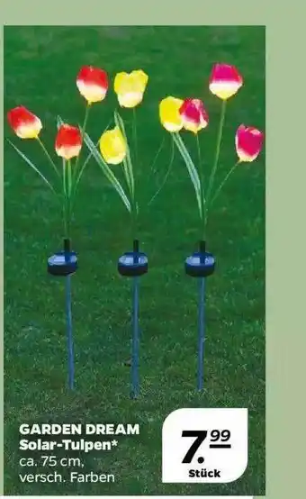 NETTO Garden Dream Solar-tulpen Angebot