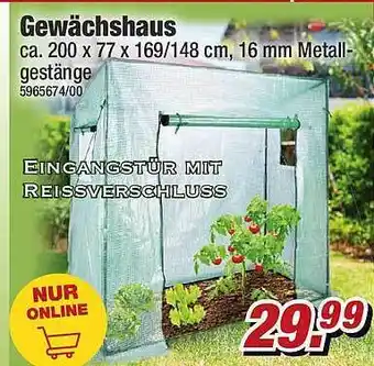 Poco Gewächshaus Angebot