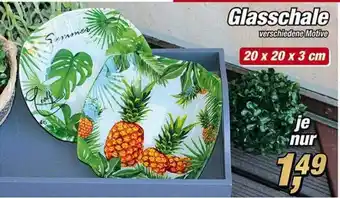 Selgros Glasschale Angebot