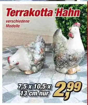 Selgros Terrakotta Hahn Angebot