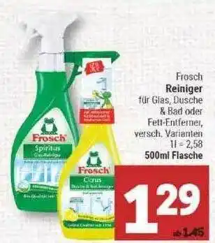 Marktkauf Frosch Reiniger Angebot