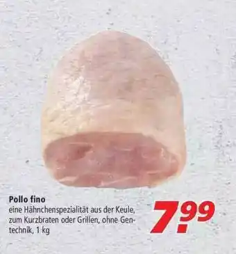 Marktkauf Pollo Fino Angebot