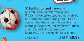 Vedes Fußballtor Mit Torwand Angebot