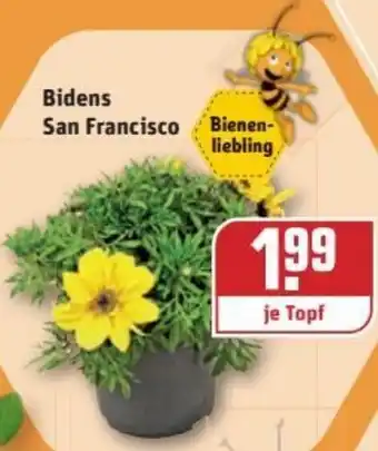 REWE Kaufpark Bidens San Francisco Angebot