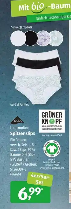 Aldi Süd Spitzenslips Angebot