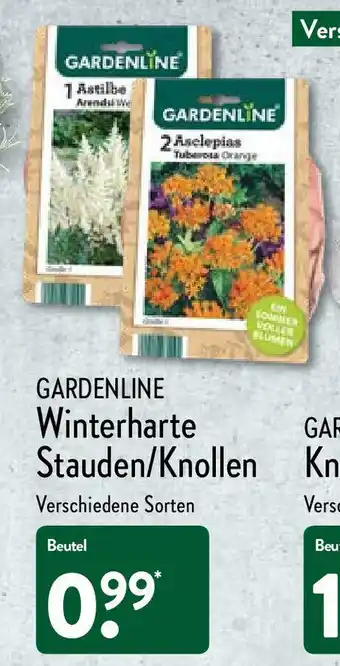 Aldi Nord Gardenline Winterharte Stauden/Knollen Angebot