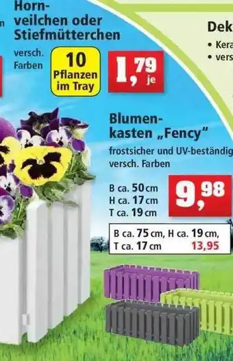 Thomas Philipps Horn Veilchen Oder Stiefmütterchen Angebot