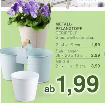 KODi Metall Pflanztopf Angebot