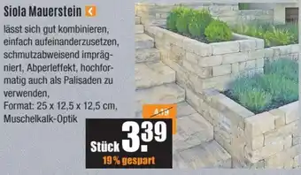 V Baumarkt Siola Mauerstein Angebot