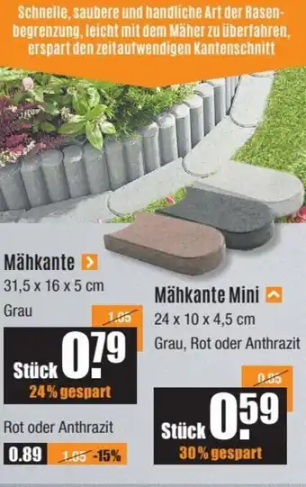 V Baumarkt Mähkante oder Mähkante Mini Angebot