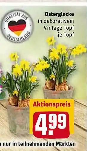 REWE Osterglocke Angebot