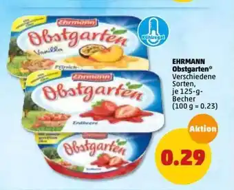 PENNY Ehrmann Obstgarten 125g Becher Angebot