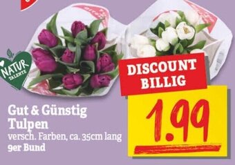 NP Discount Gut & Günstig Tulpen Angebot