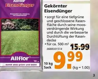 Globus Baumarkt Gekörnter Eisendünger Angebot