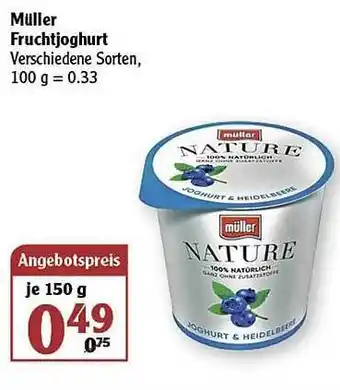 Globus Müller Fruchtjoghurt Angebot