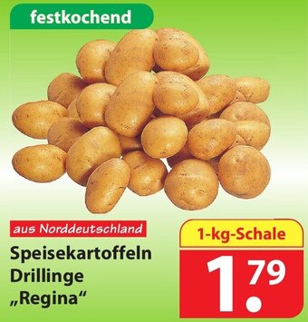 Famila Nord Ost Speisekartoffeln drillinge regina Angebot