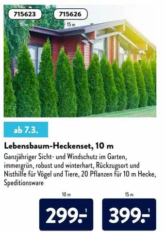 Aldi Nord Lebensbaum-heckenset Angebot